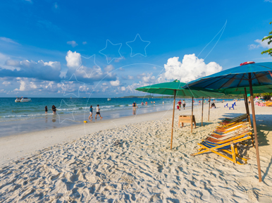 การเดินทางไประยอง: บริการรถบัสและรถรับส่ง