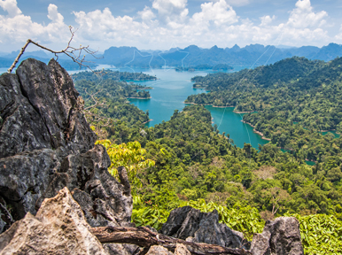 Exploring the Beauty of Khao Sok National Park by Bus
