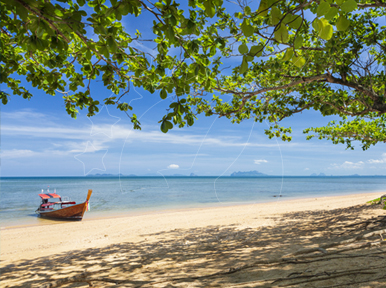 การเดินทางด้วยเรือเร็วและเรือเฟอร์รี่เกาะลิบง