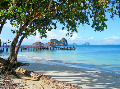 Lesbian xotini xususiy porno surat