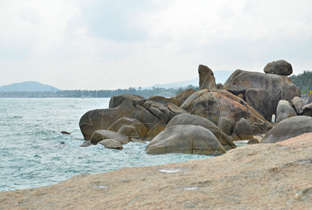 코사무이 - 야자수 섬