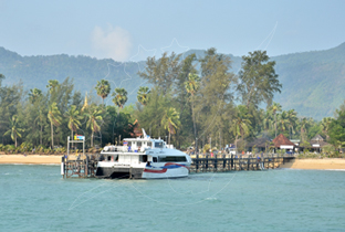 코팡안 - 평화 및 파티