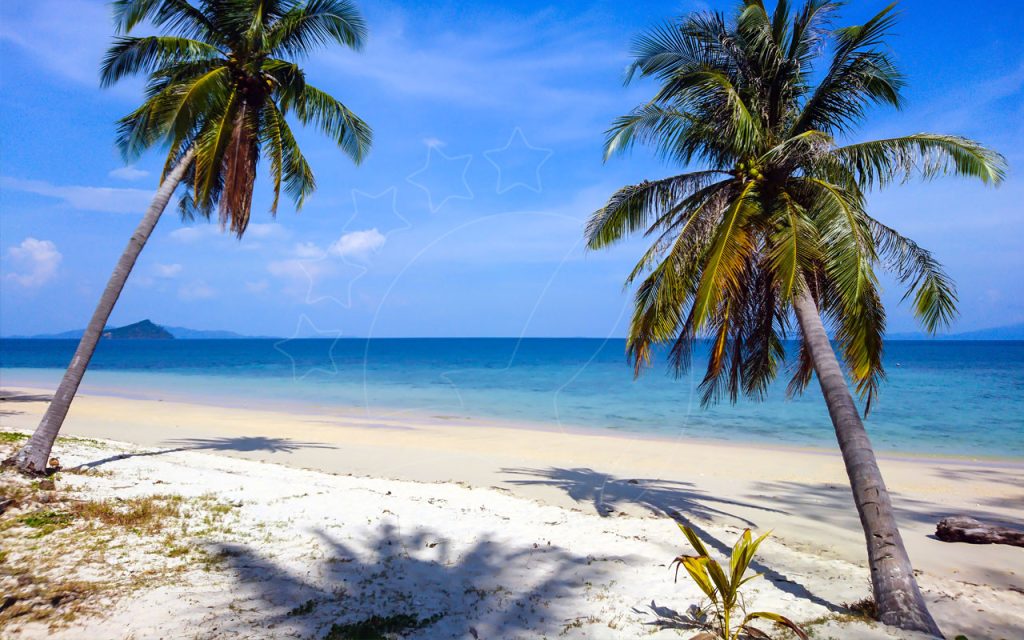 Due palme da cocco inclinate ombreggiano una spiaggia bianca con mare turchese e isola lontana sotto cielo azzurro