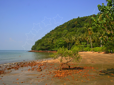 Discover Koh Pu by Ferry: Adventure and Serenity