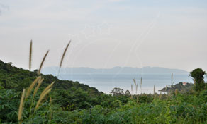 코사무이 Getting Around Samui