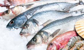 جزيرة تاو Koh Tao Cuisine