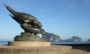 Koh Libong कोह लिबॉन्ग डुगोंग्स