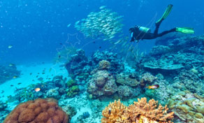 拉查岛 Full Day Snorkelling & Scuba Diving