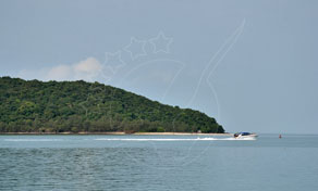 Surat Thani Train Station Koh Phangan