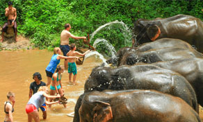 Chiang Mai Elephant Jungle Sanctuary