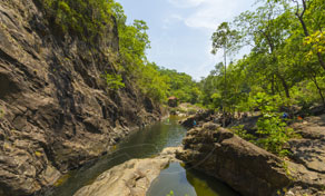 Trat Khlong Plu Rainforest